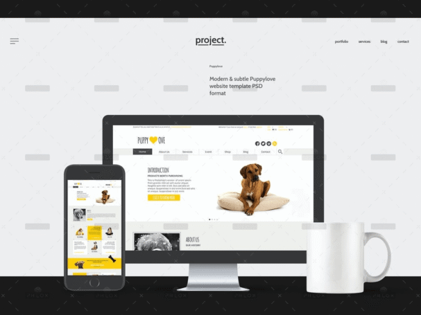 demo-attachment-3246-aaydp-ffqrm